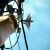 prueba72dpi